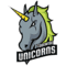 cs go team Codewise Unicorns