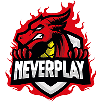 cs go team NeverPlay
