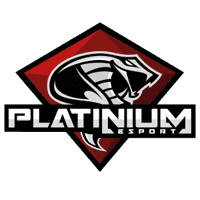 команда cs go Platinium