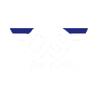 Go OnlineBOTS