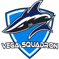 команда cs go Vega Squadron