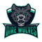 cs go team Dire Wolves