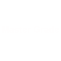 hold cs go Master Grade