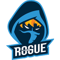 cs go team Rogue